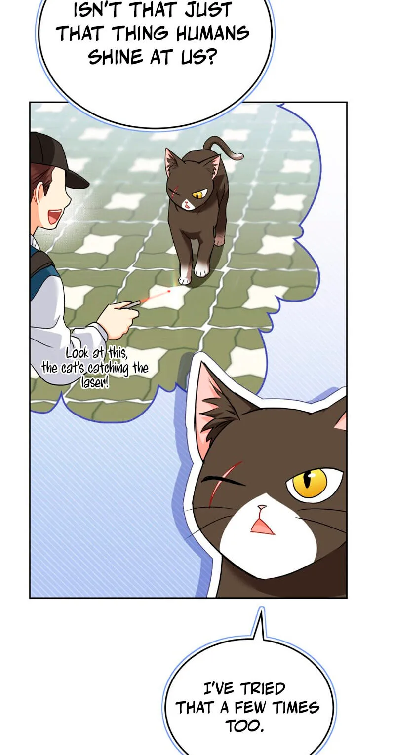 Read Hello, Mr. Veterinarian! chapter 144 image 63 on Lezhin