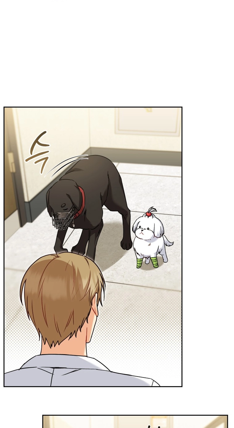 Read Hello, Mr. Veterinarian! chapter 145 image 10 on Lezhin