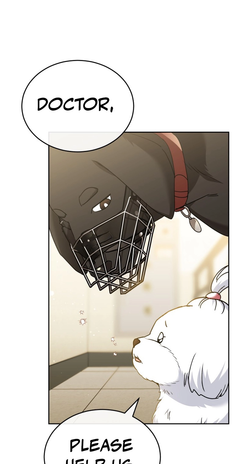 Read Hello, Mr. Veterinarian! chapter 145 image 12 on Lezhin