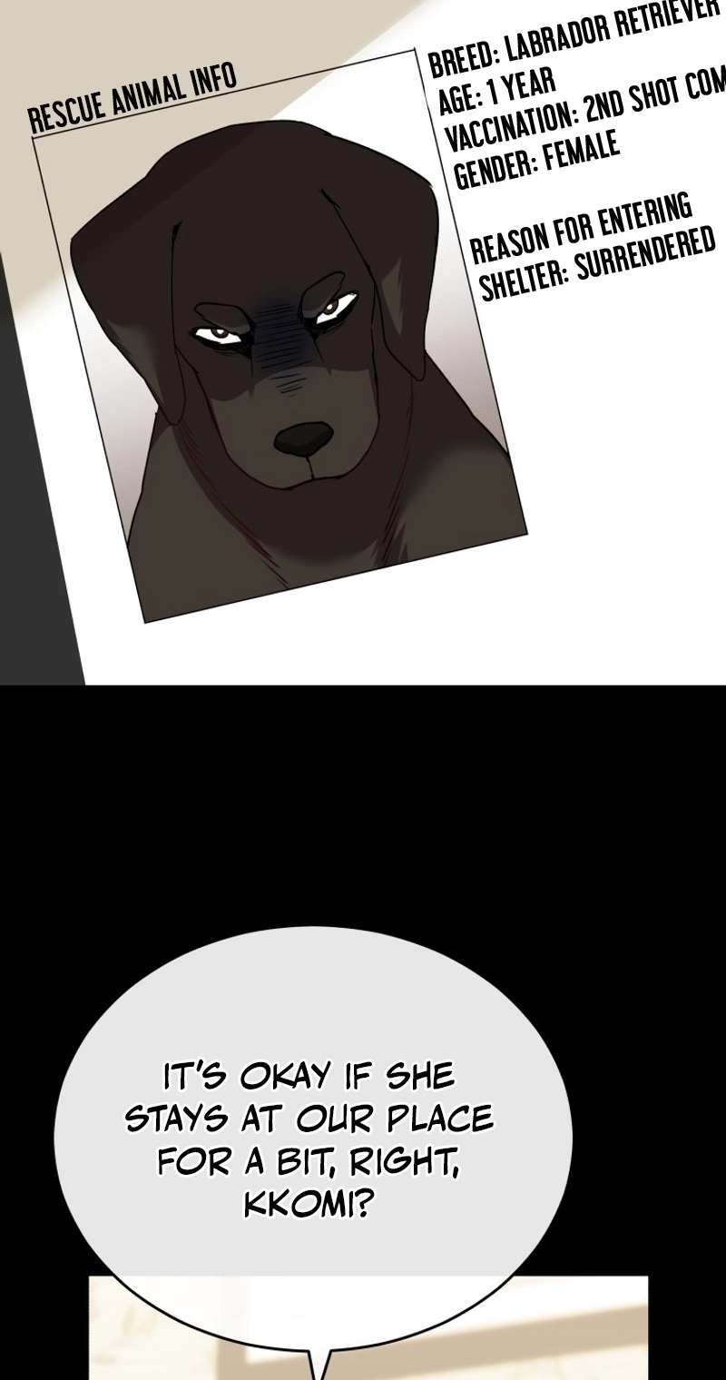 Read Hello, Mr. Veterinarian! chapter 145 image 20 on Lezhin