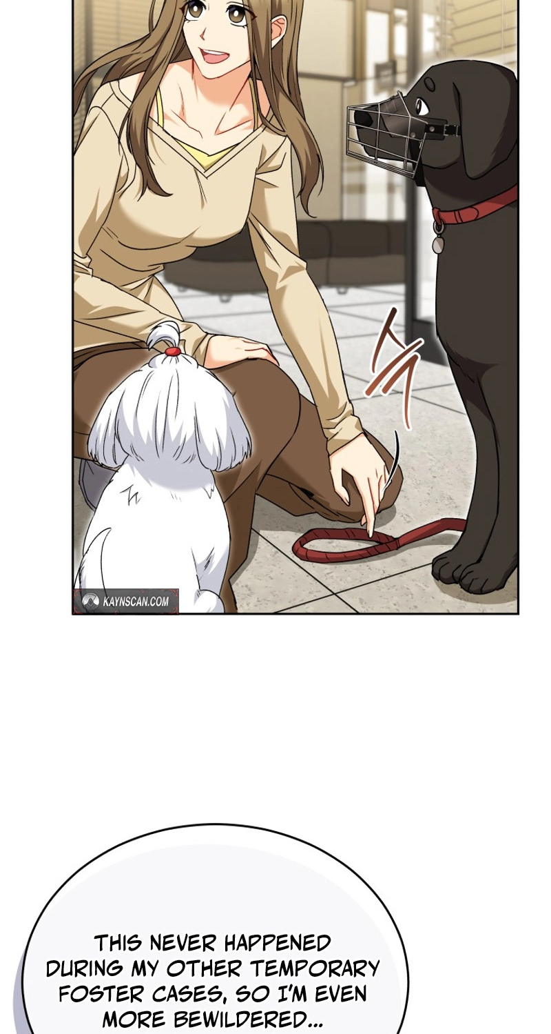 Read Hello, Mr. Veterinarian! chapter 145 image 45 on Lezhin