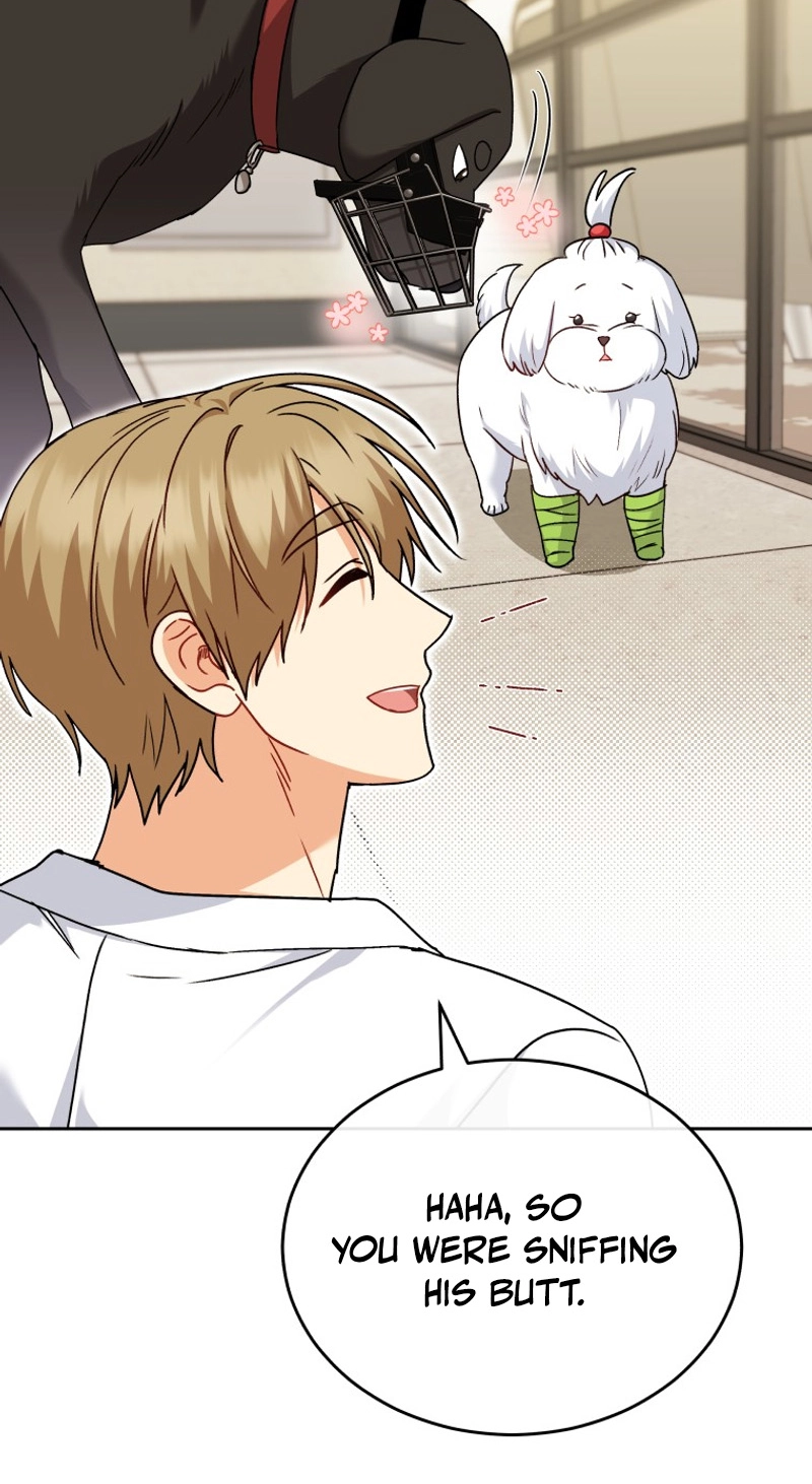 Read Hello, Mr. Veterinarian! chapter 145 image 8 on Lezhin