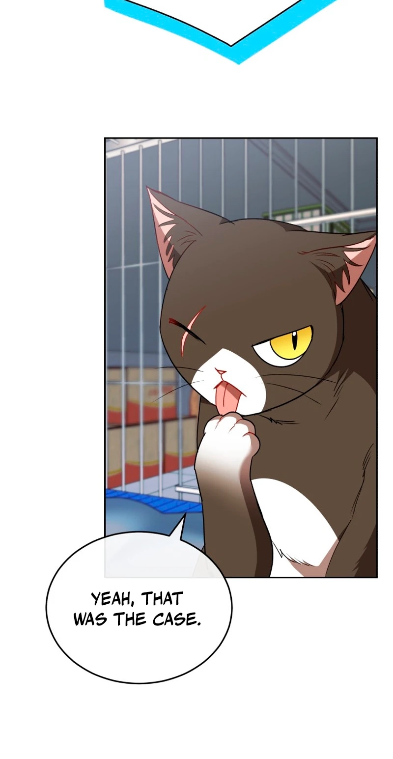 Read Hello, Mr. Veterinarian! chapter 146 image 10 on Lezhin