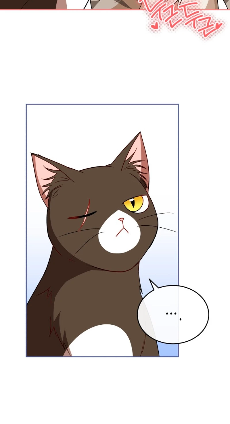Read Hello, Mr. Veterinarian! chapter 146 image 12 on Lezhin