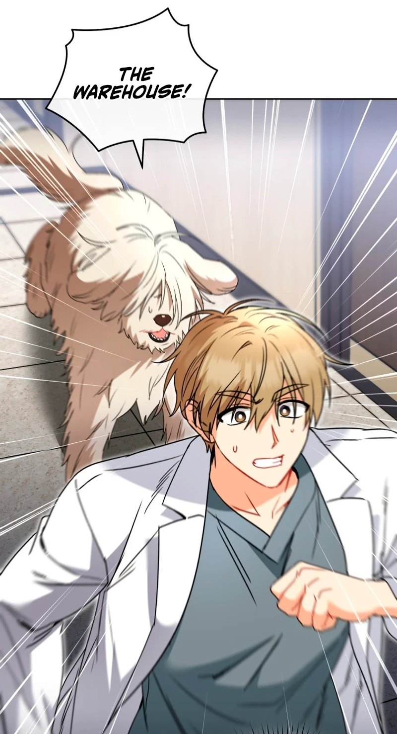Read Hello, Mr. Veterinarian! chapter 146 image 17 on Lezhin