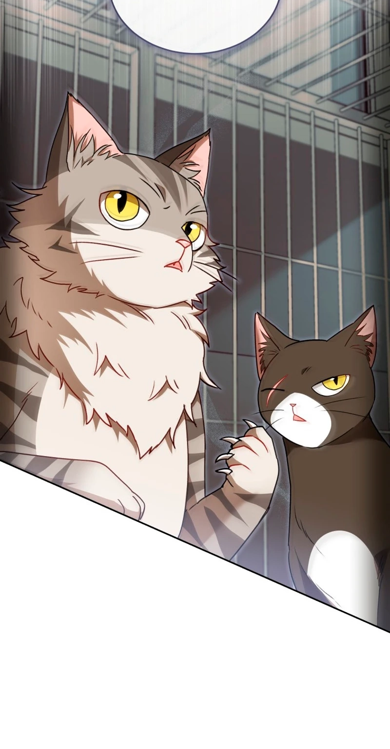 Read Hello, Mr. Veterinarian! chapter 146 image 38 on Lezhin