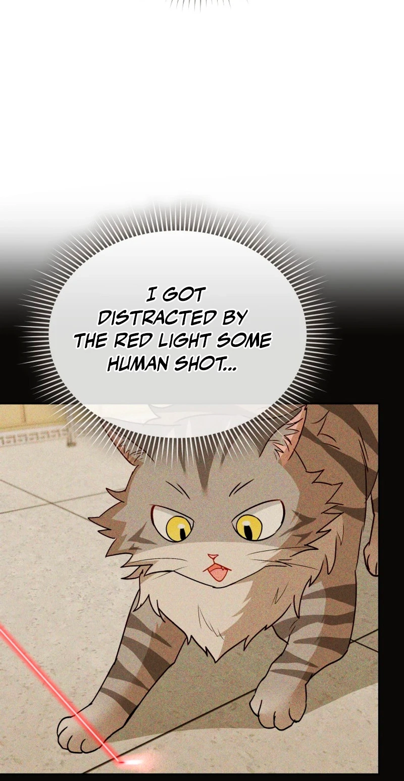 Read Hello, Mr. Veterinarian! chapter 146 image 5 on Lezhin