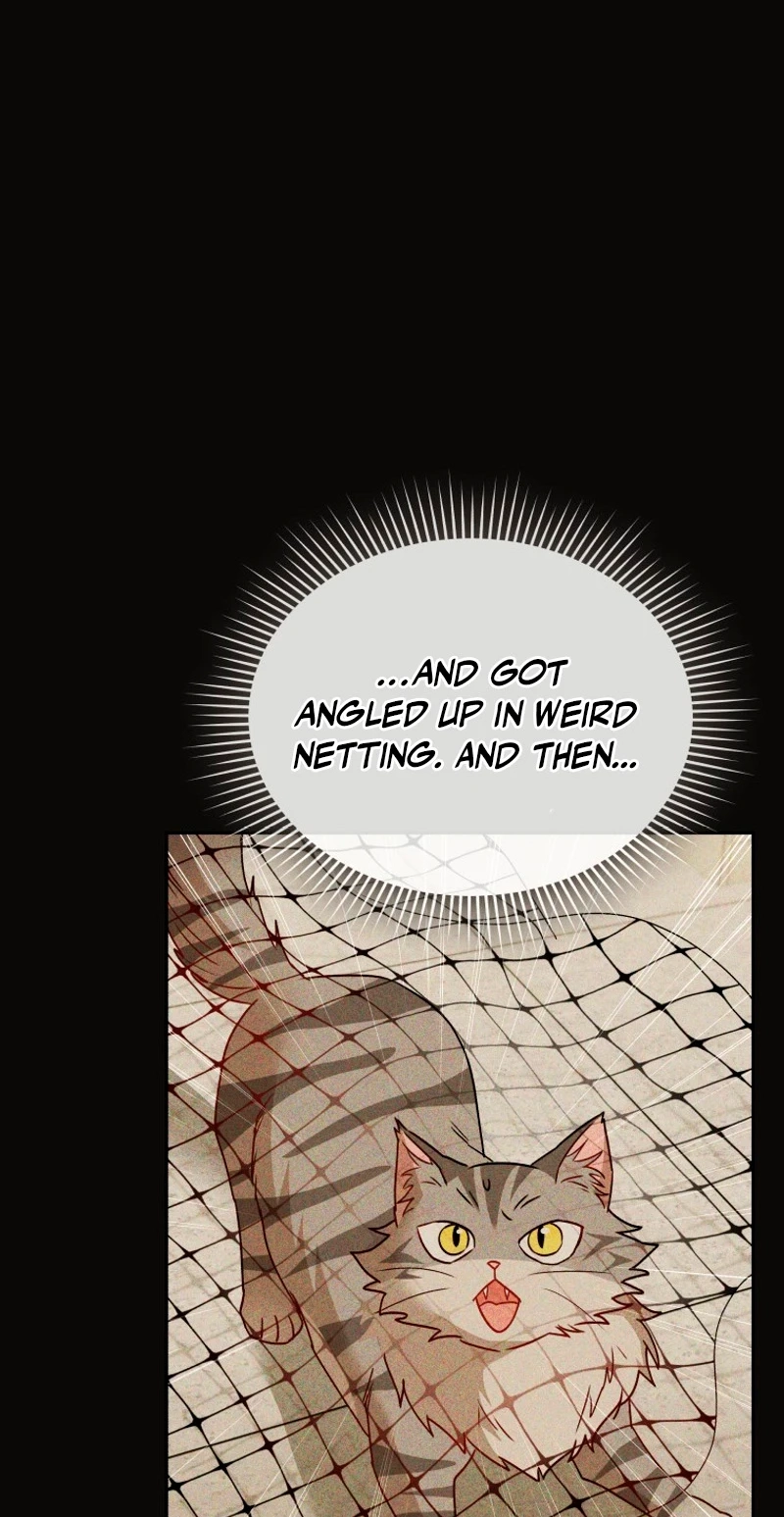 Read Hello, Mr. Veterinarian! chapter 146 image 6 on Lezhin