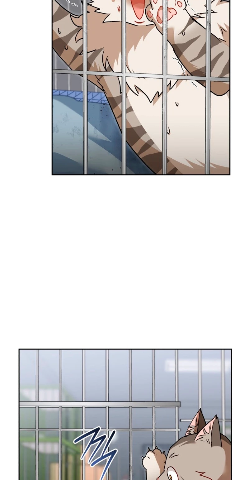 Read Hello, Mr. Veterinarian! chapter 146 image 65 on Lezhin