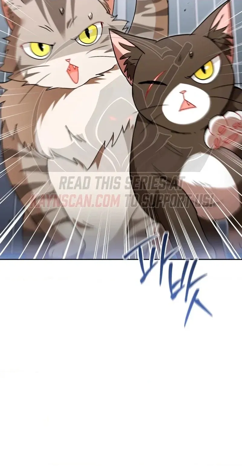 Read Hello, Mr. Veterinarian! chapter 146 image 69 on Lezhin