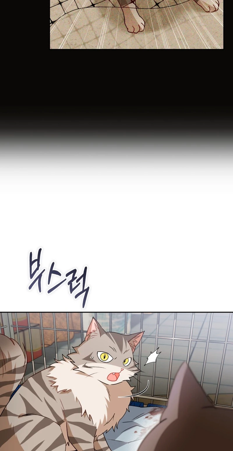 Read Hello, Mr. Veterinarian! chapter 146 image 7 on Lezhin