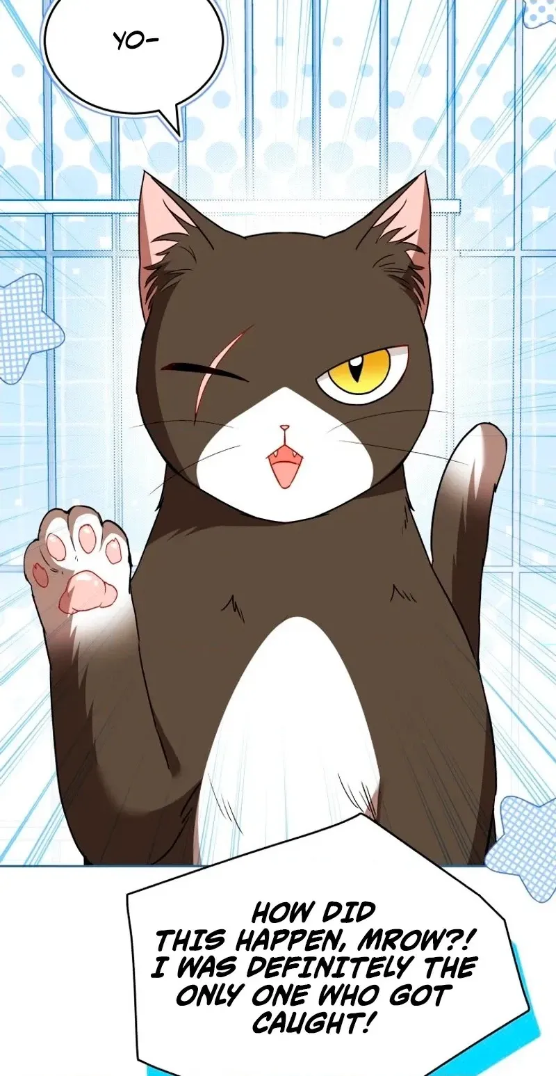 Read Hello, Mr. Veterinarian! chapter 146 image 9 on Lezhin
