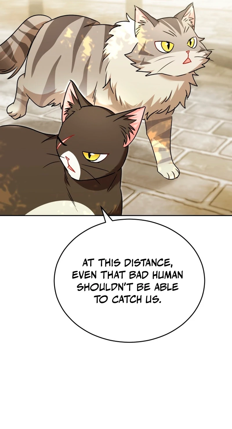 Read Hello, Mr. Veterinarian! chapter 147 image 4 on Lezhin