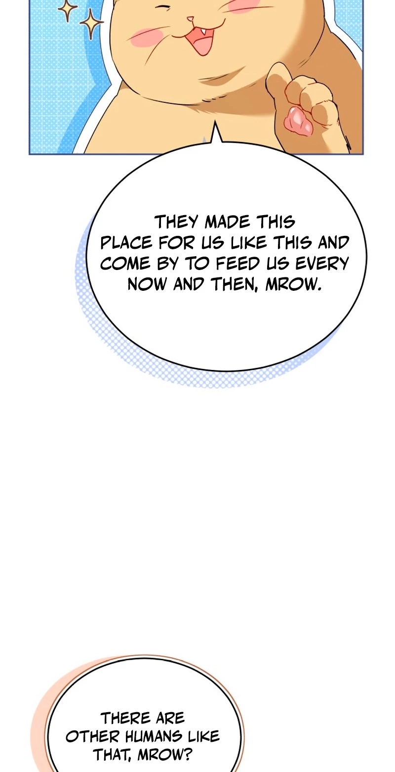 Read Hello, Mr. Veterinarian! chapter 147 image 78 on Lezhin