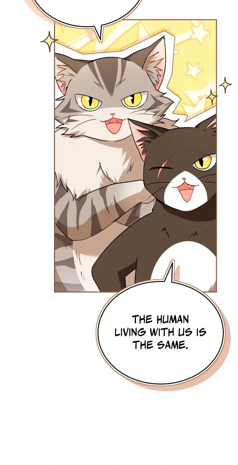 Read Hello, Mr. Veterinarian! chapter 147 image 79 on Lezhin