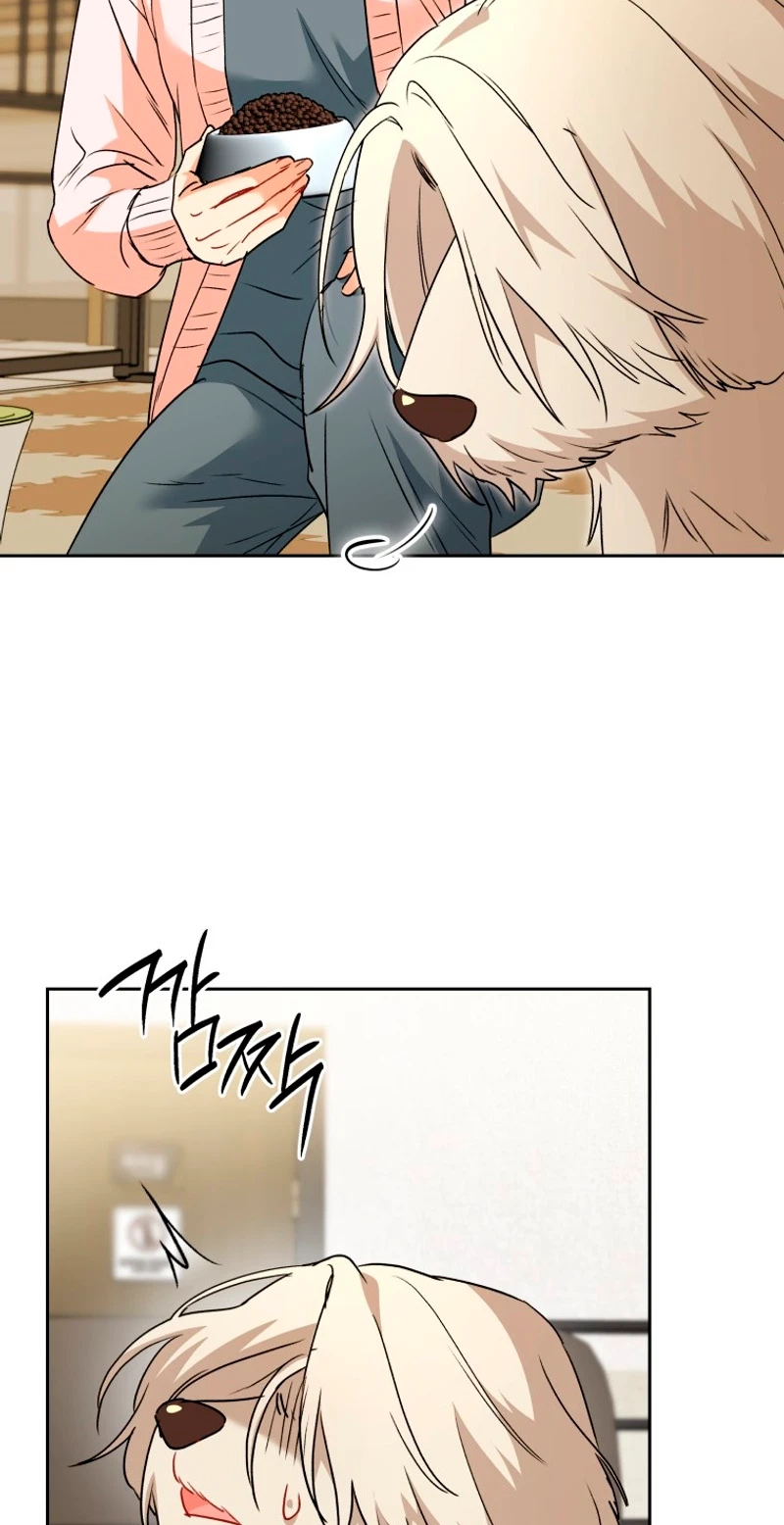 Read Hello, Mr. Veterinarian! chapter 148 image 12 on Lezhin