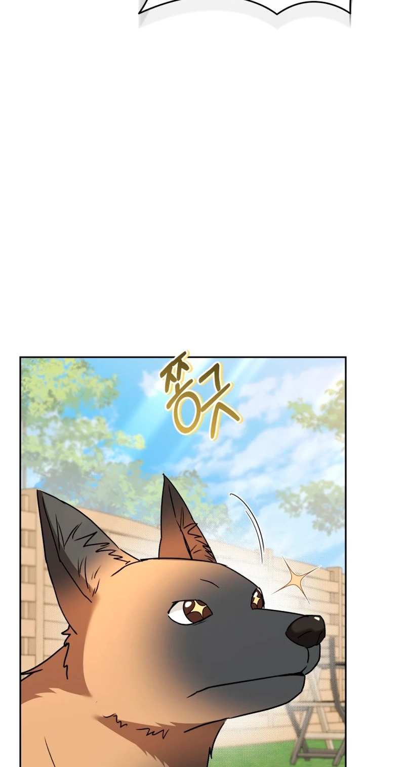 Read Hello, Mr. Veterinarian! chapter 148 image 45 on Lezhin
