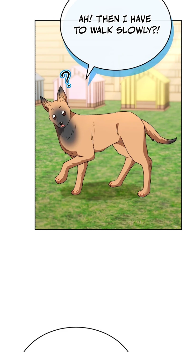Read Hello, Mr. Veterinarian! chapter 148 image 81 on Lezhin