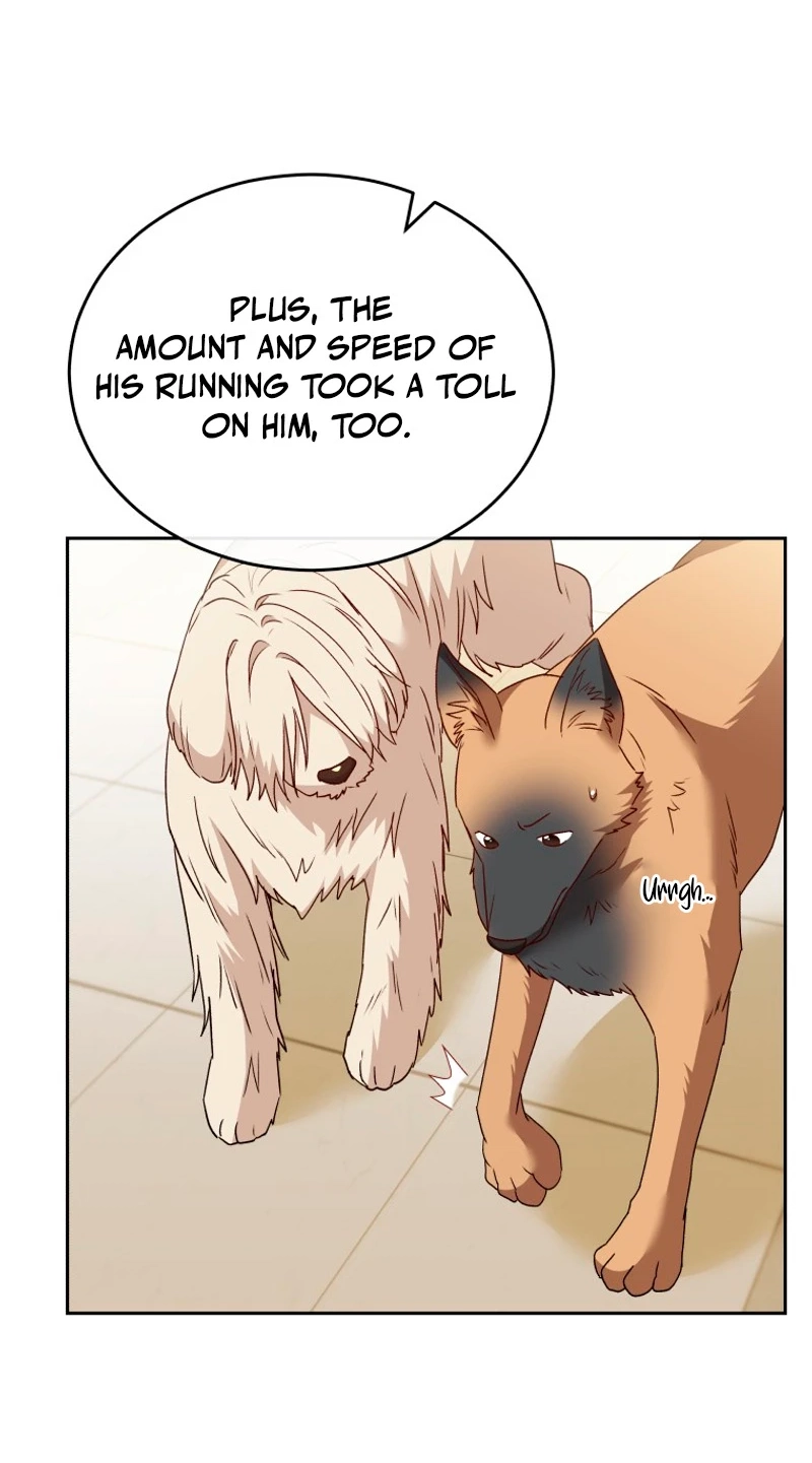 Read Hello, Mr. Veterinarian! chapter 149 image 14 on Lezhin