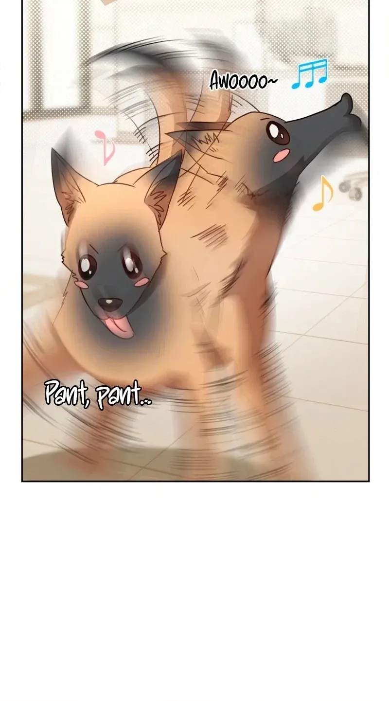 Read Hello, Mr. Veterinarian! chapter 149 image 19 on Lezhin