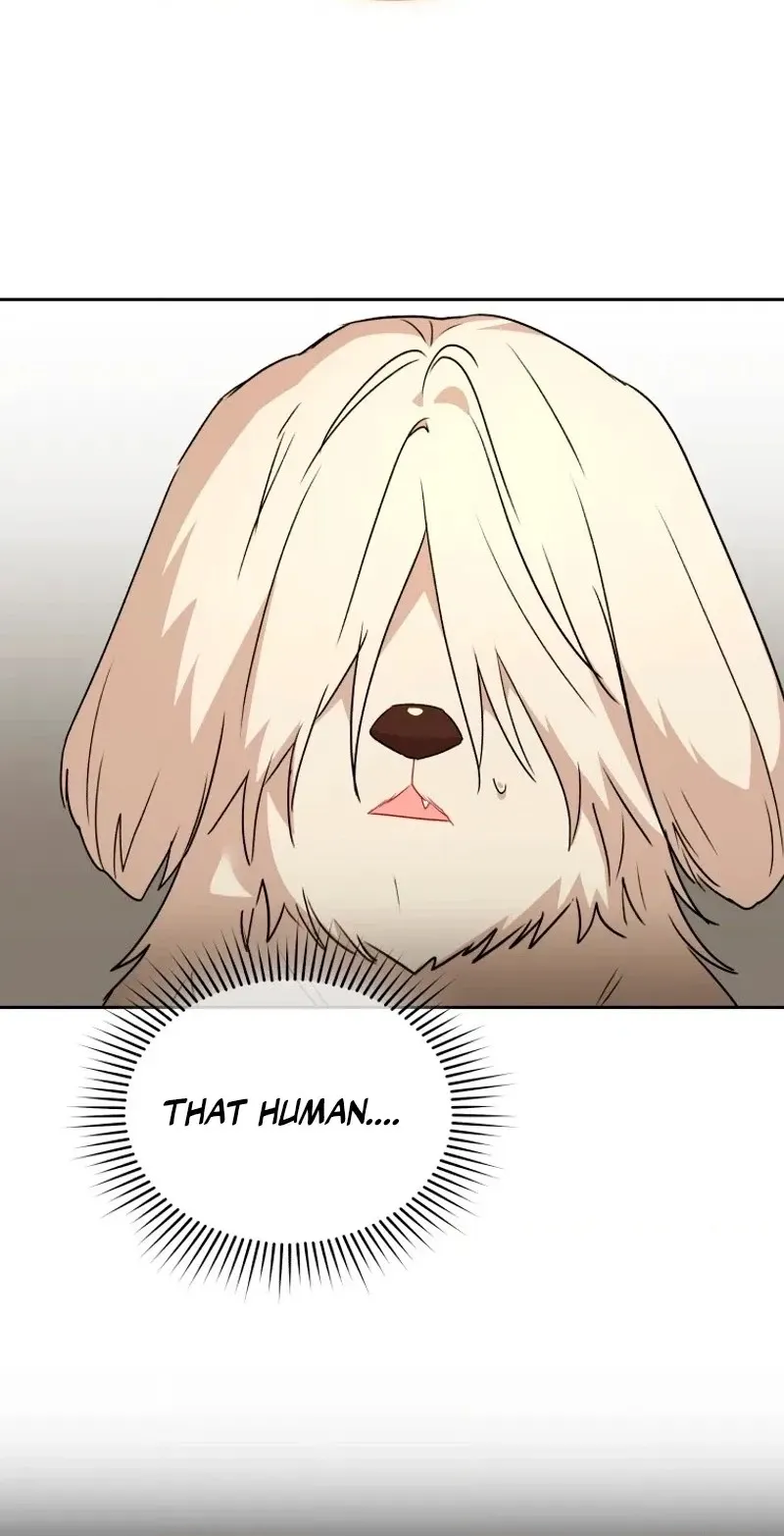 Read Hello, Mr. Veterinarian! chapter 149 image 39 on Lezhin