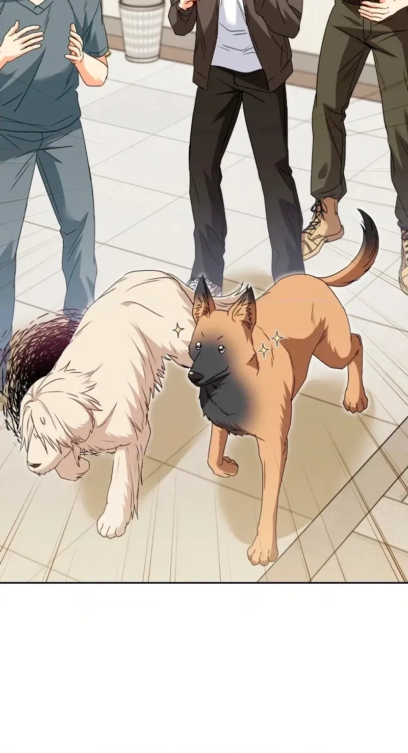 Read Hello, Mr. Veterinarian! chapter 149 image 9 on Lezhin