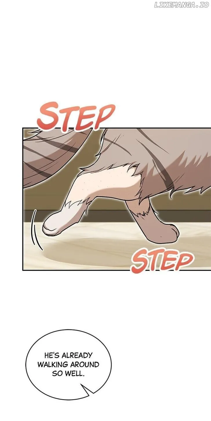 Hello, Mr. Veterinarian! Chapter 16 page 2 - 