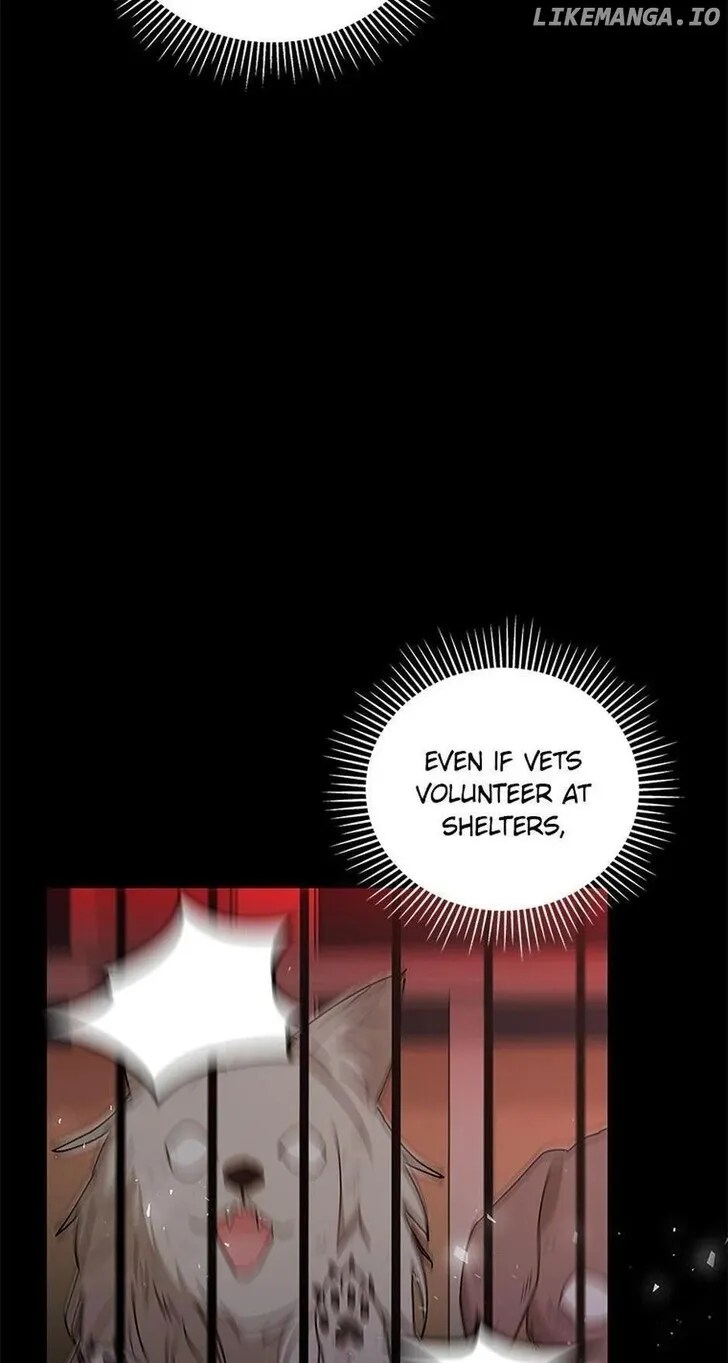 Hello, Mr. Veterinarian! Chapter 16 page 38 - 
