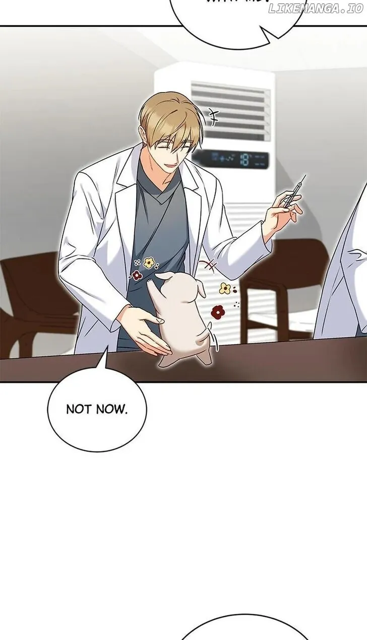 Hello, Mr. Veterinarian! Chapter 16 page 53 - 