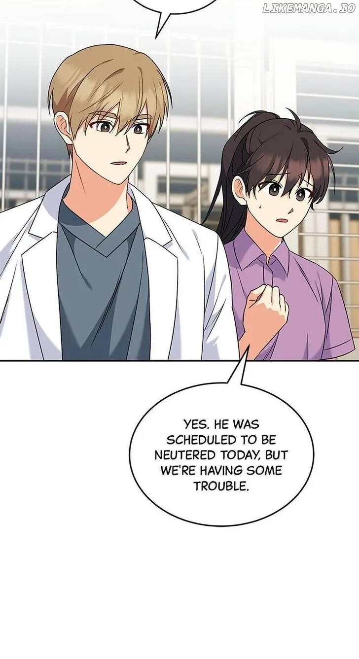 Hello, Mr. Veterinarian! Chapter 16 page 66 - 
