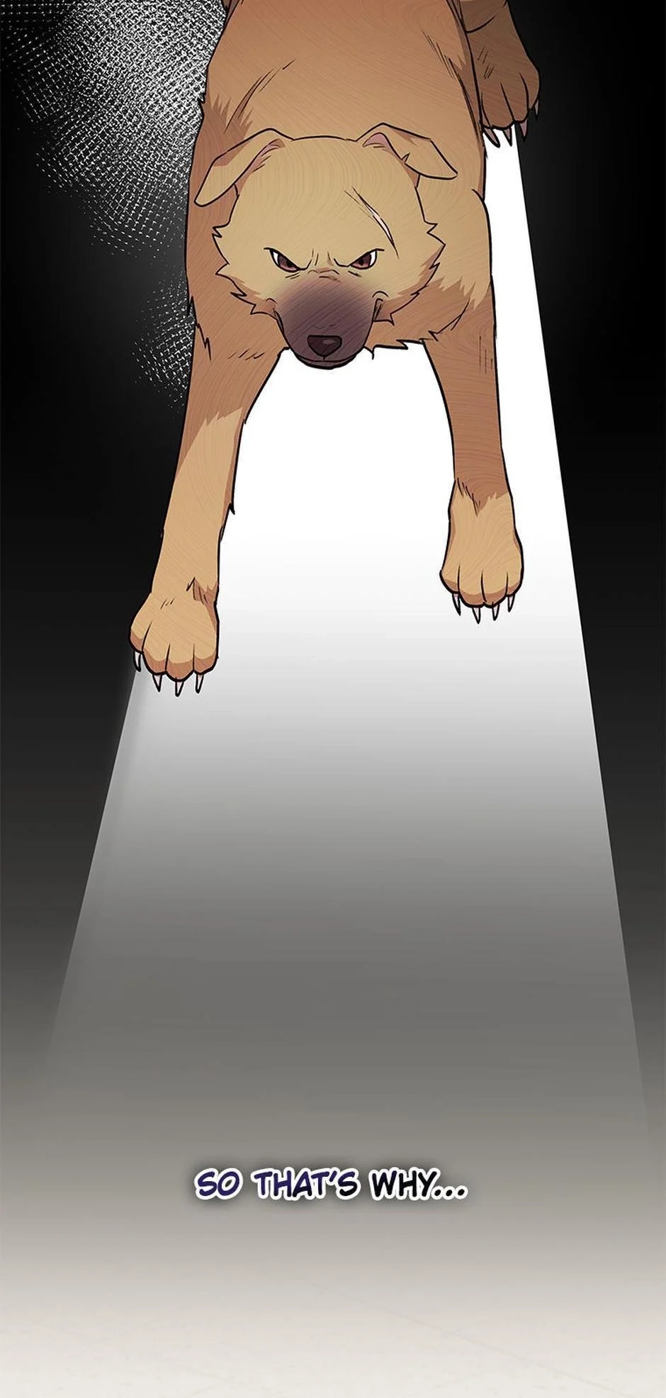 Hello, Mr. Veterinarian! Chapter 17 page 12 - 