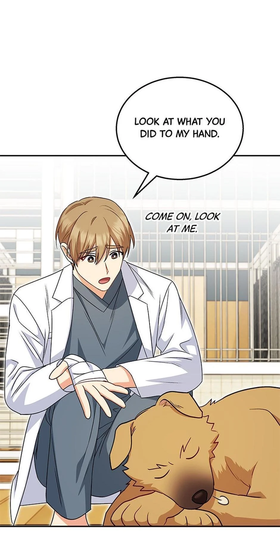 Hello, Mr. Veterinarian! Chapter 17 page 41 - 