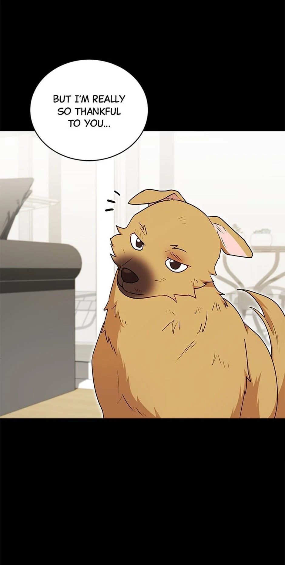 Hello, Mr. Veterinarian! Chapter 18 page 13 - 
