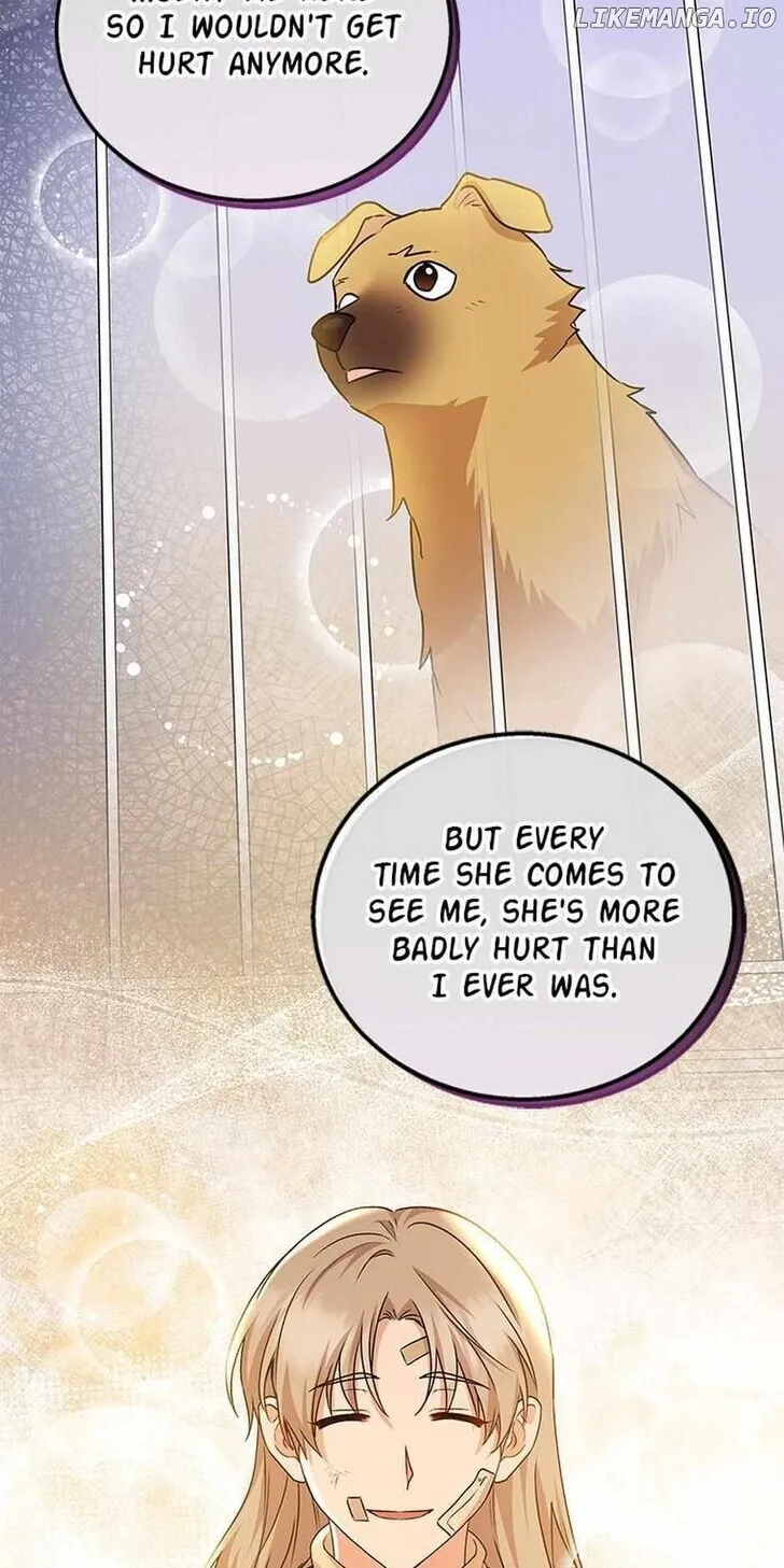 Hello, Mr. Veterinarian! Chapter 19 page 12 - 