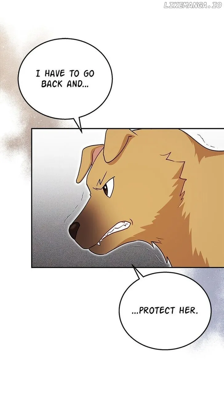 Hello, Mr. Veterinarian! Chapter 19 page 14 - 