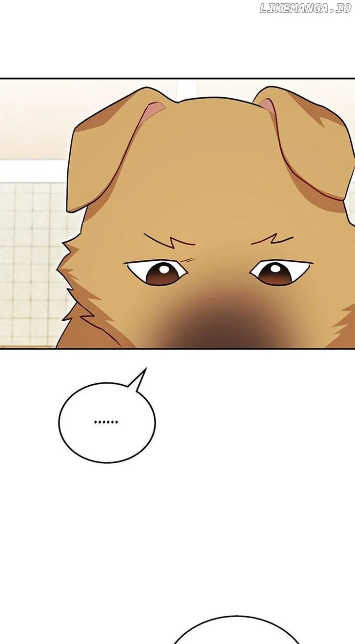 Hello, Mr. Veterinarian! Chapter 19 page 31 - 