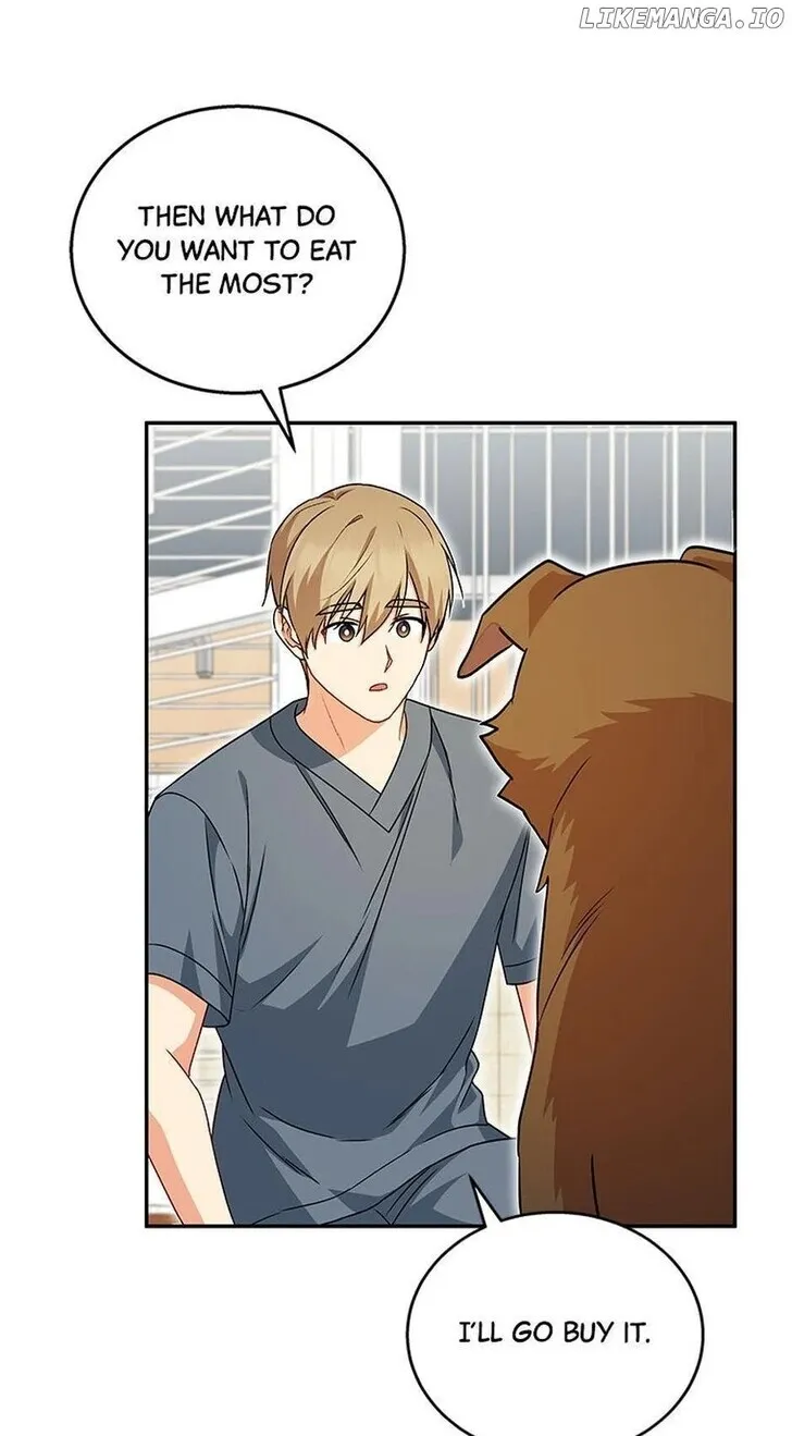 Hello, Mr. Veterinarian! Chapter 19 page 33 - 