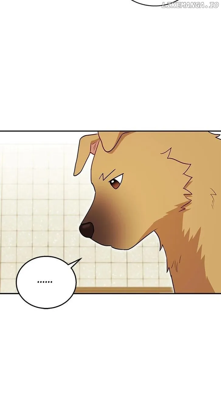 Hello, Mr. Veterinarian! Chapter 19 page 34 - 