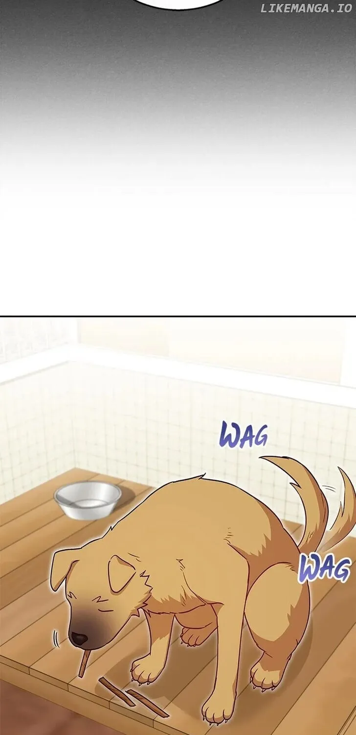 Hello, Mr. Veterinarian! Chapter 19 page 41 - 