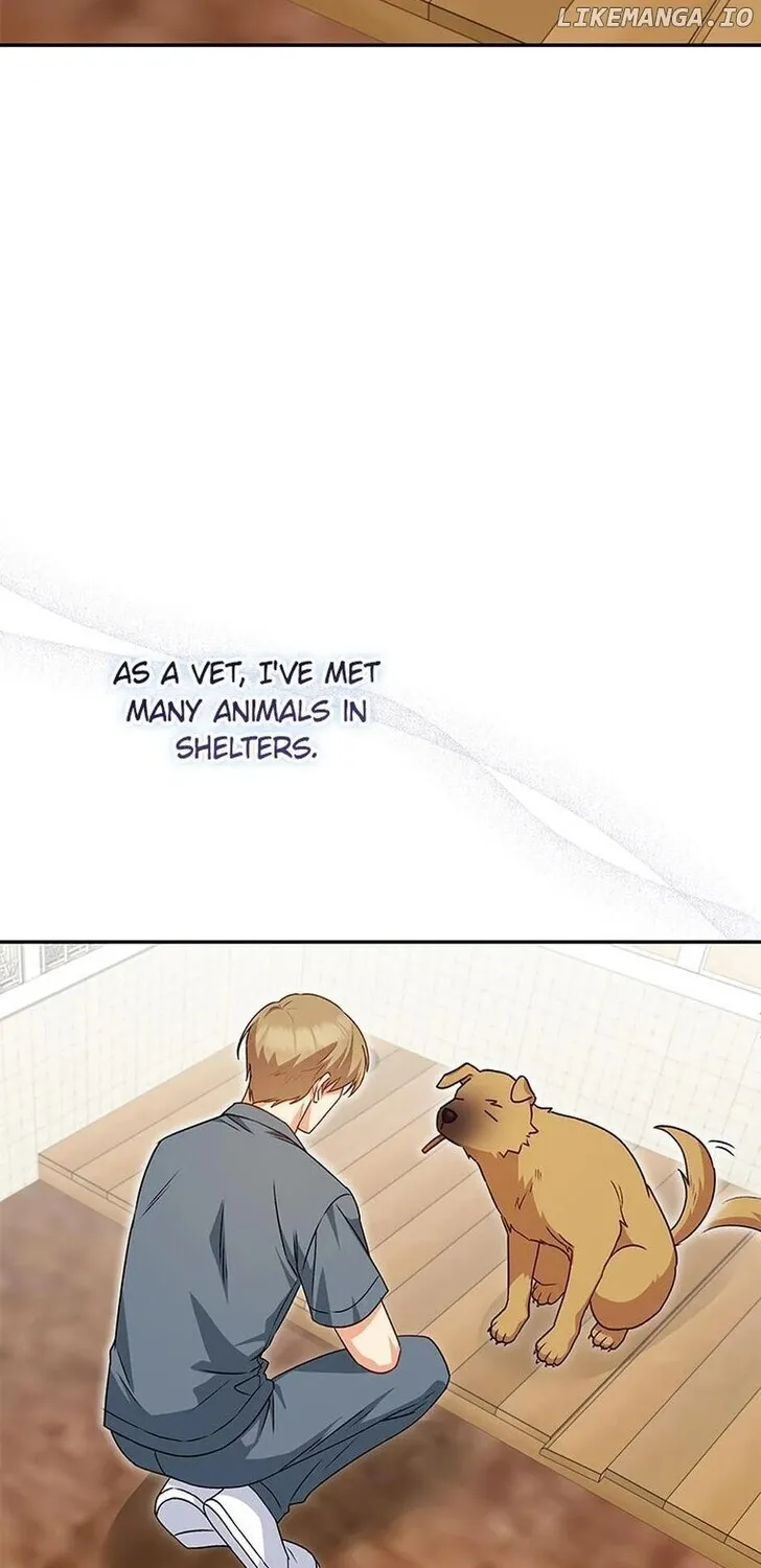Hello, Mr. Veterinarian! Chapter 19 page 43 - 