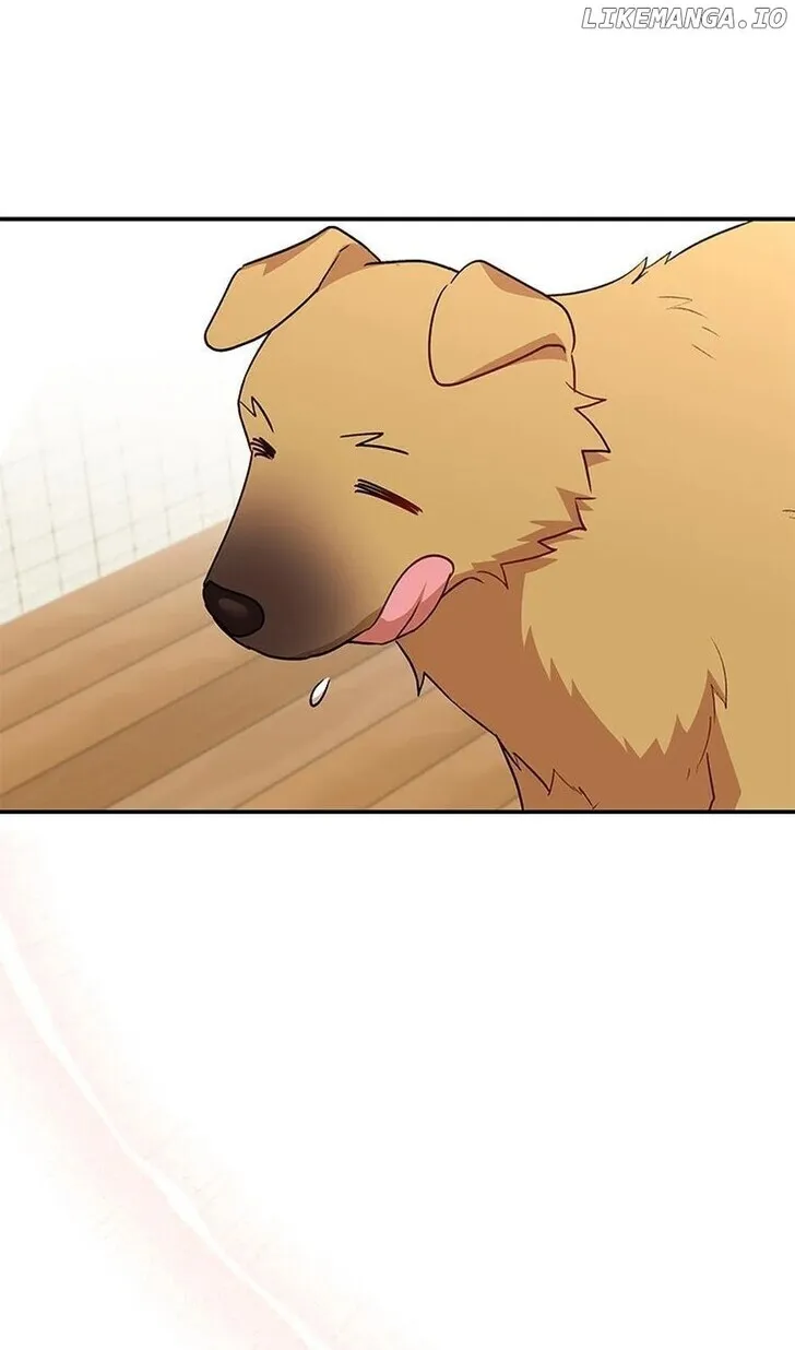Hello, Mr. Veterinarian! Chapter 19 page 47 - 