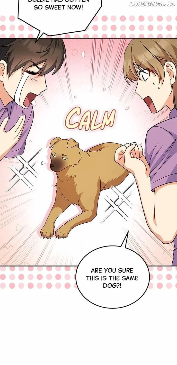 Hello, Mr. Veterinarian! Chapter 19 page 53 - 