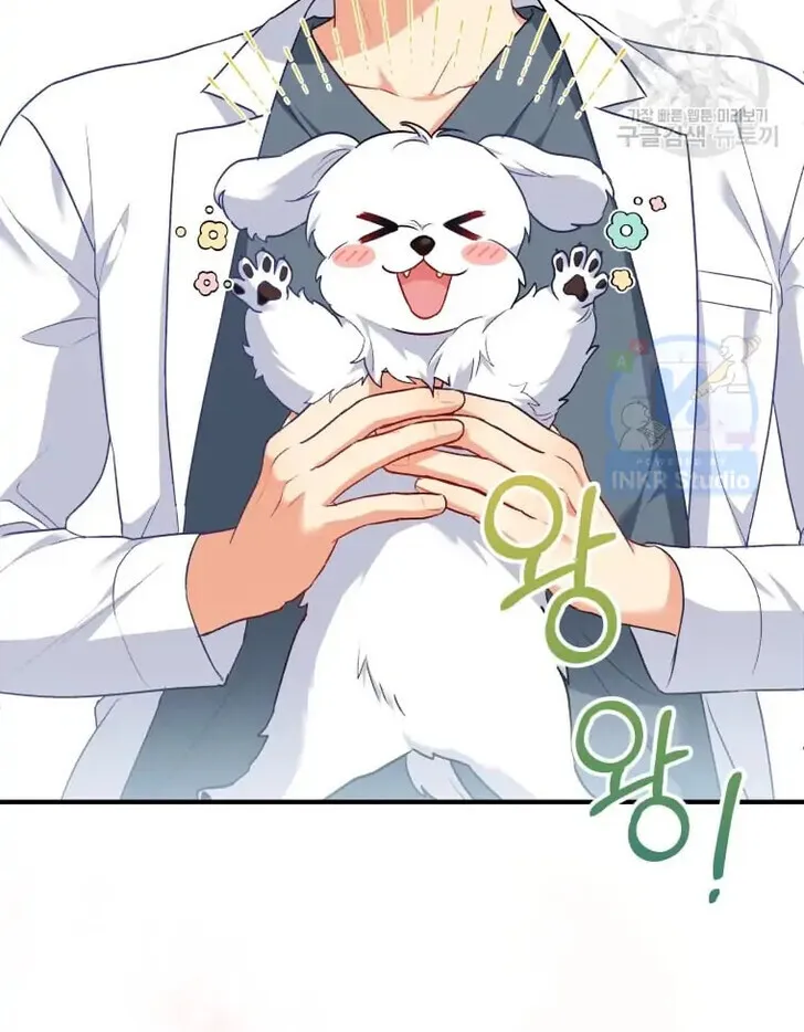 Hello, Mr. Veterinarian! Chapter 2 page 3 - 