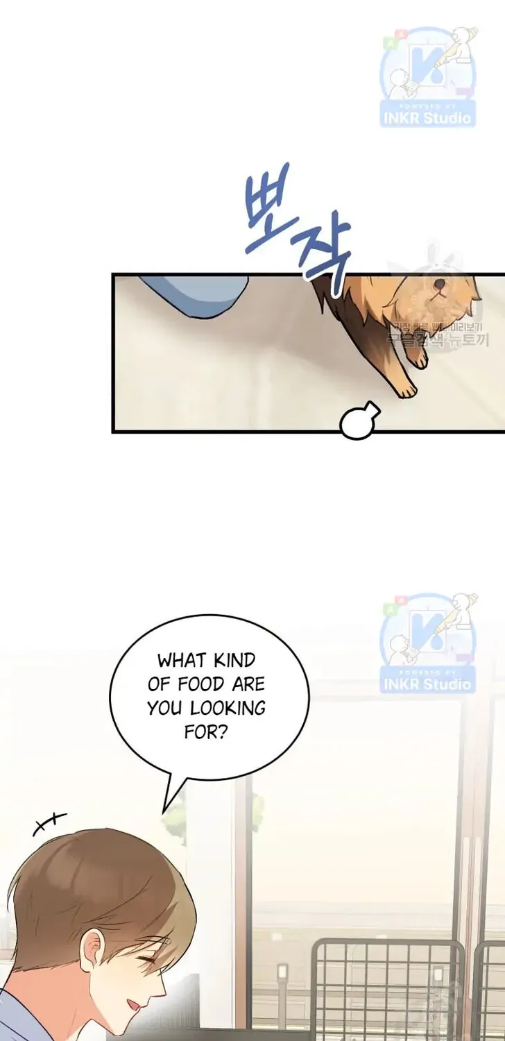Hello, Mr. Veterinarian! Chapter 2 page 42 - 