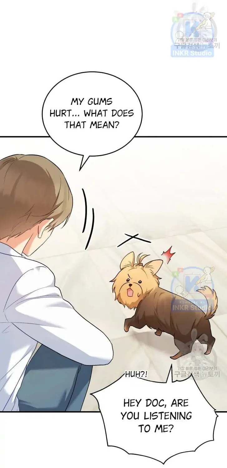 Hello, Mr. Veterinarian! Chapter 2 page 46 - 