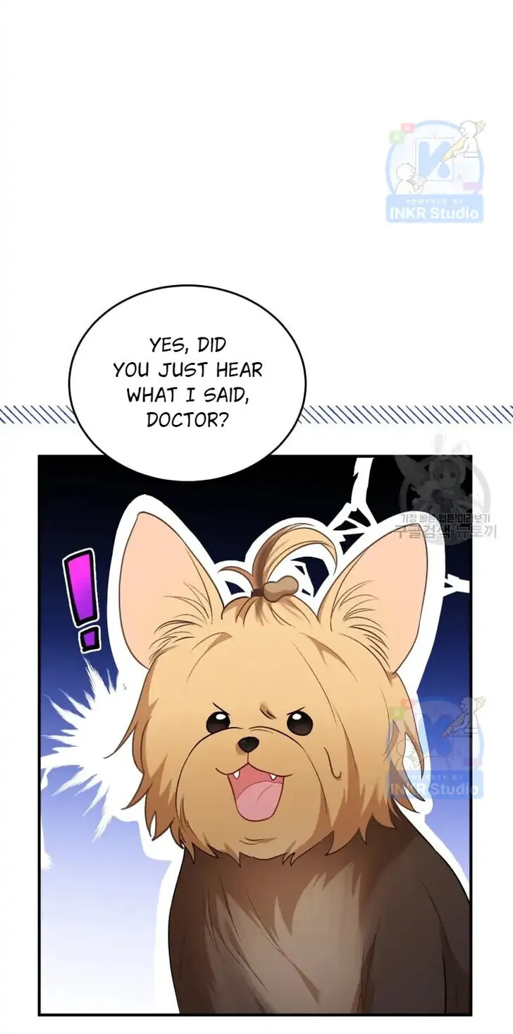Hello, Mr. Veterinarian! Chapter 2 page 47 - 