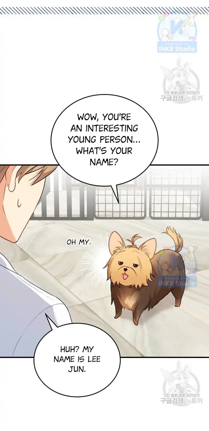Hello, Mr. Veterinarian! Chapter 2 page 48 - 