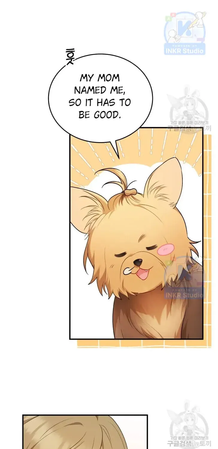 Hello, Mr. Veterinarian! Chapter 2 page 51 - 