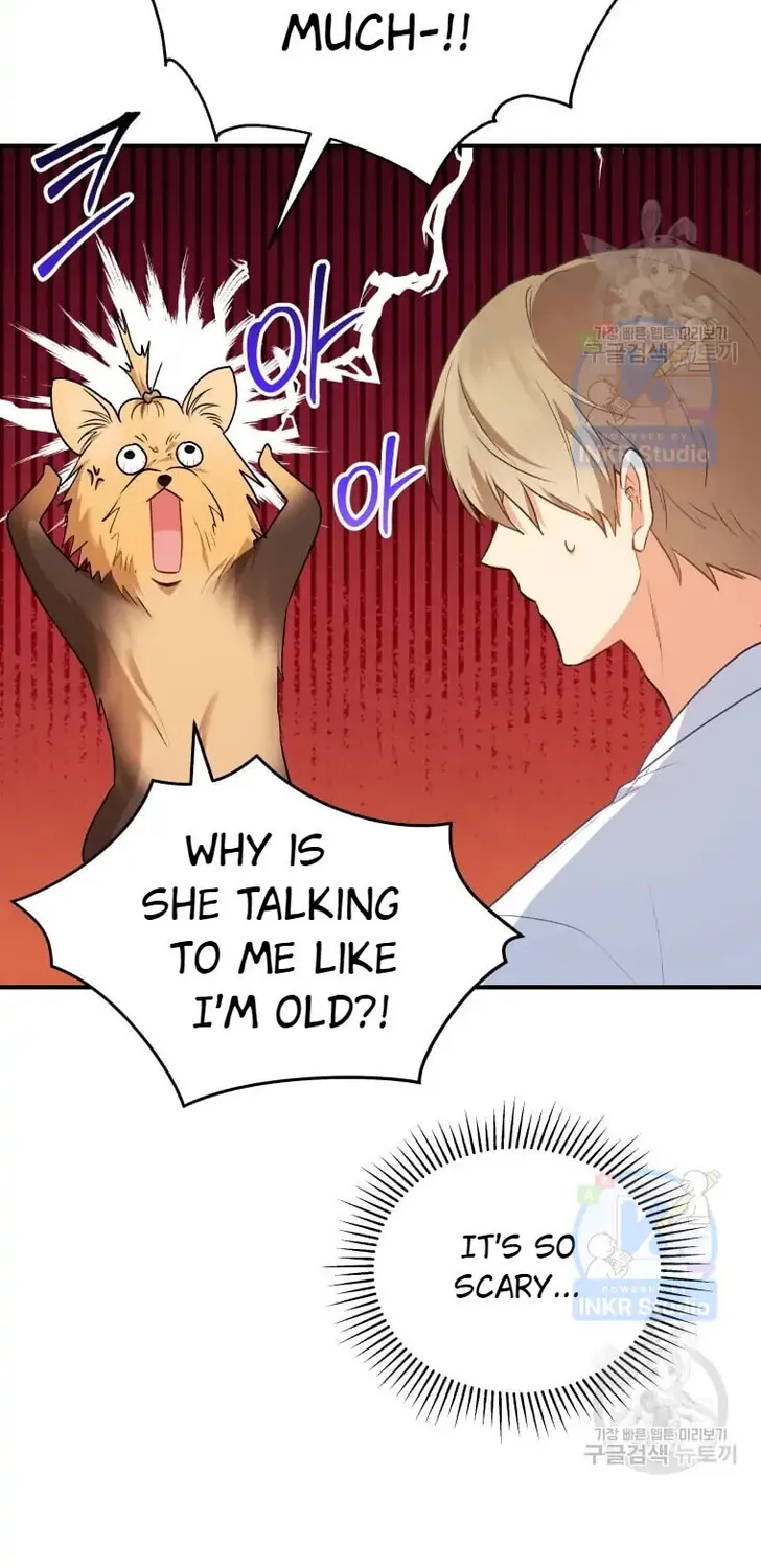 Hello, Mr. Veterinarian! Chapter 2 page 60 - 