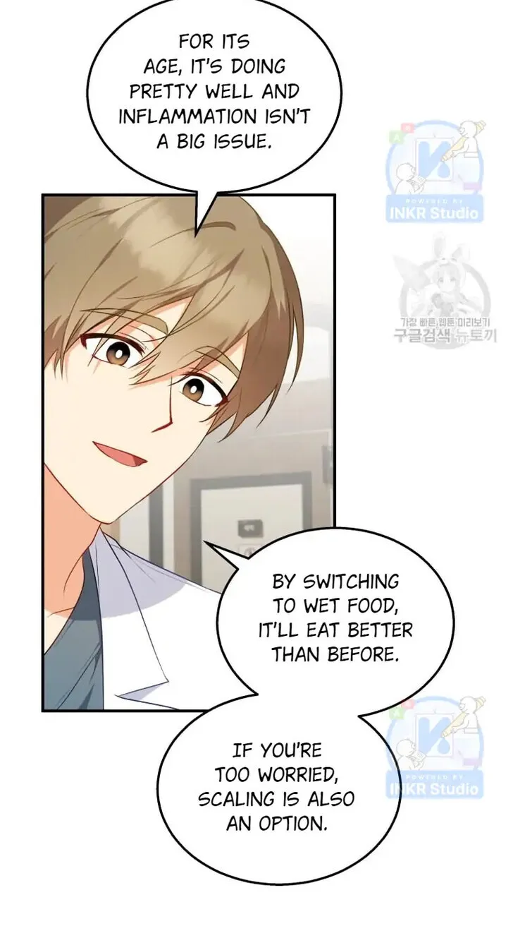 Hello, Mr. Veterinarian! Chapter 2 page 71 - 